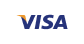 Visa payment